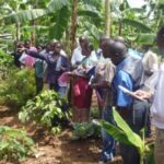 Support_Households_to_engage_in_sustainable_agricultural_production