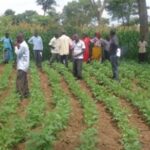 farm land